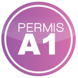Permis moto 125 A1
