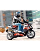 Permis AM (BSR)